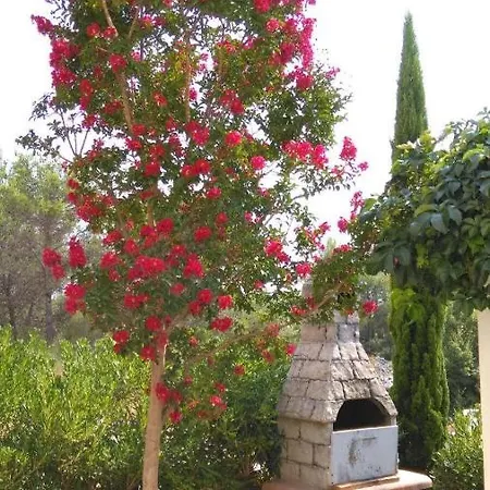 Dalibor Apartment Vodice